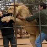 O Caso de Charlie Starmer-Smith: Ataque de Leão na África do Sul