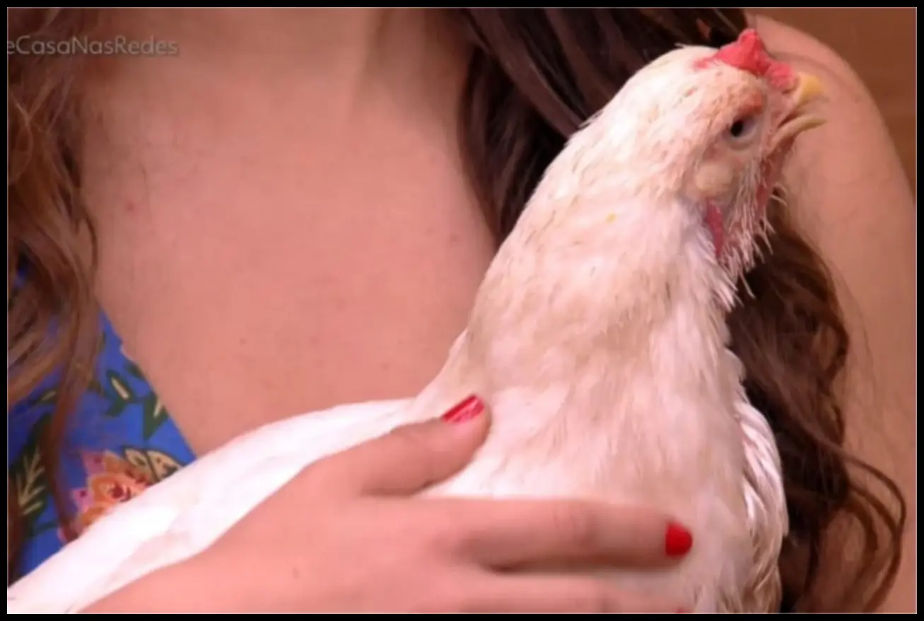Rita Batista, apresentadora do É de Casa, segurando a galinha Loirin com carinho e tranquilidade no cenário do programa.