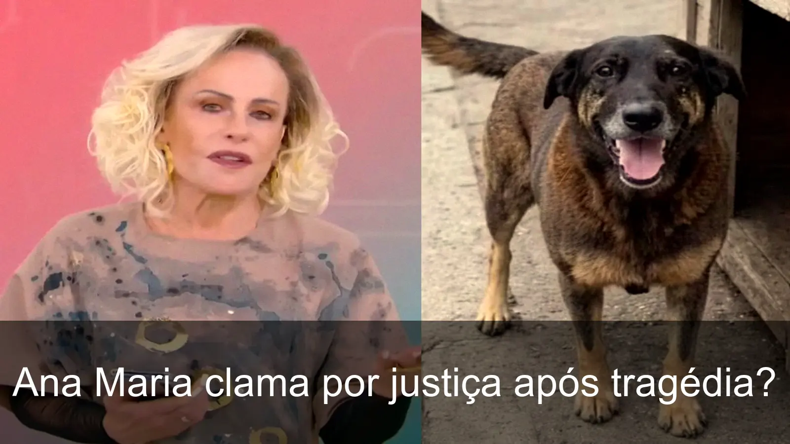 Ana Maria Braga emocionada ao falar sobre o caso de Orelha