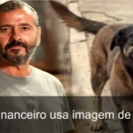 Marcos Palmeira desmente golpe financeiro envolvendo seu nome